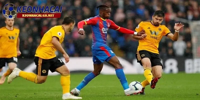Soi kèo nhà cái Crystal Palace vs Wolverhampton Soi kèo nhà cái Crystal Palace vs Wolverhampton